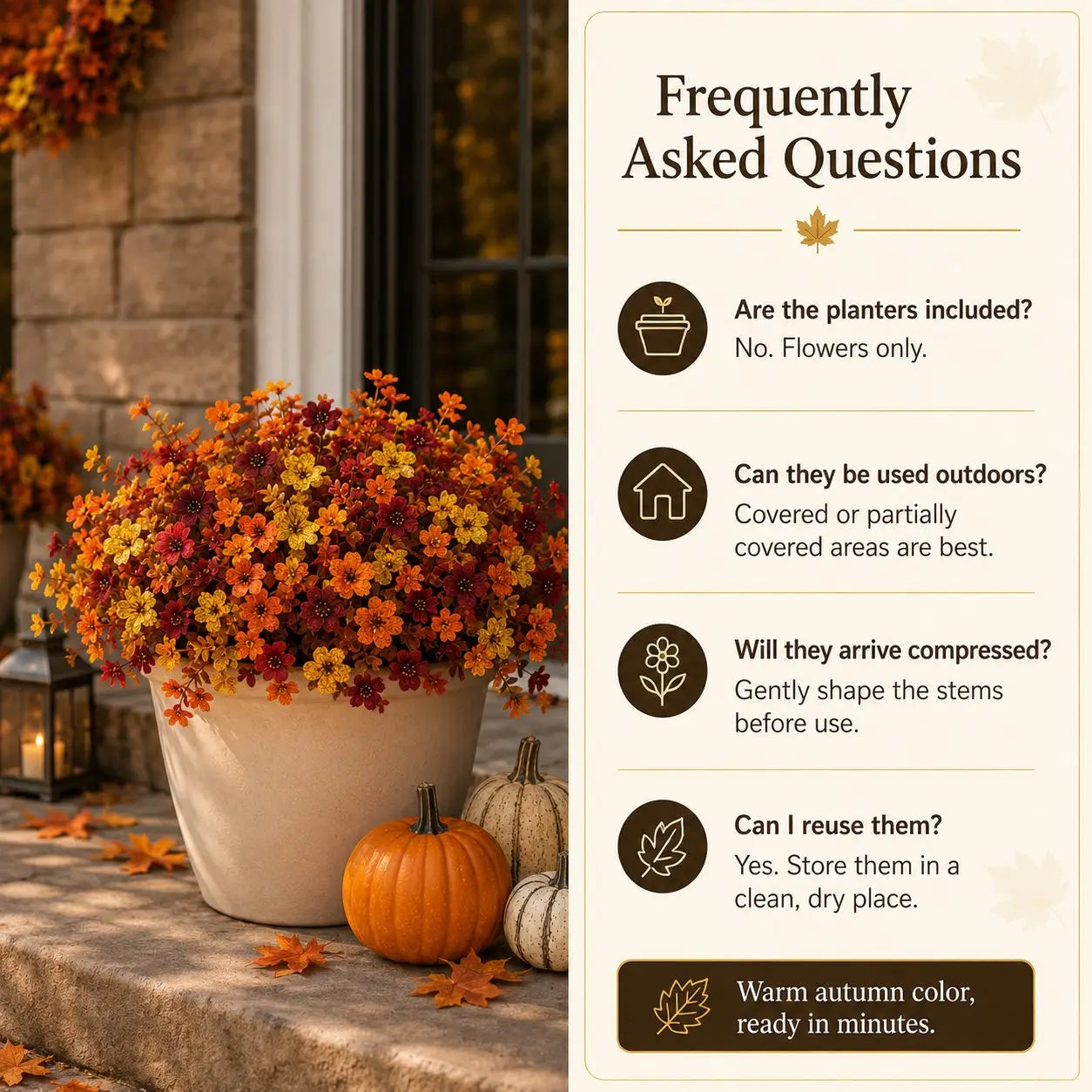 🔥🌟 Limited-Time Offer—Holiday Specials Are Now Live! 🔔✨